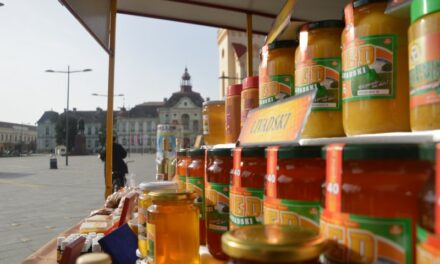 FESTIVAL MEDA U CENTRU GRADA