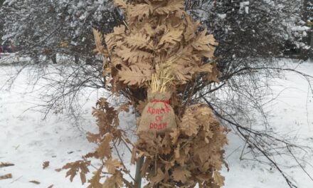 TRADICIONALNO PALJENJE BADNJAKA NA VIŠE LOKACIJA U ZRENJANINU