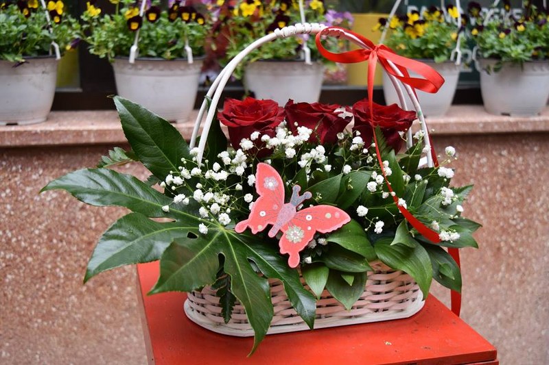 Odaberite najlepše cveće za dan zaljubljenih u cvećarama „Jasmin“ i „Narcis“ (FOTO)