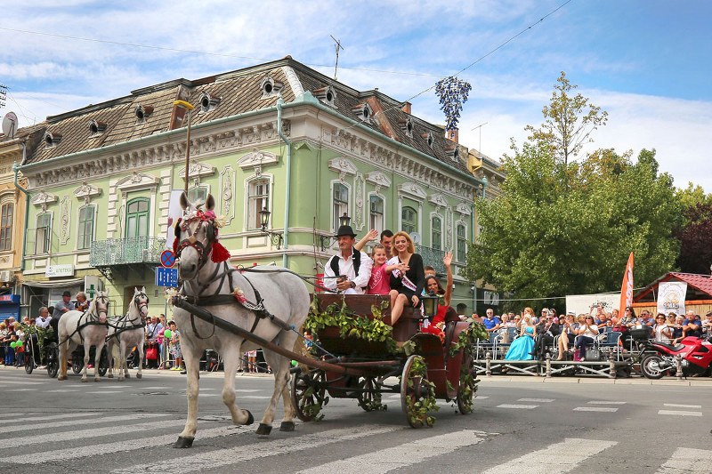 64. DANI BERBE GROŽĐA U VRŠCU