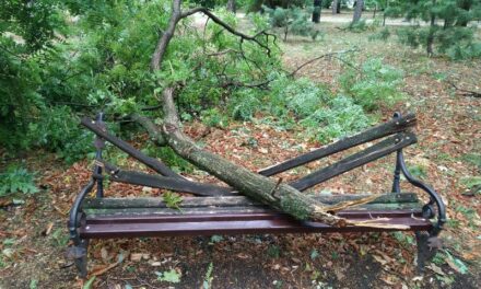 POGLEDAJTE POSLEDICE JUČERAŠNJEG NEVREMENA (FOTO)