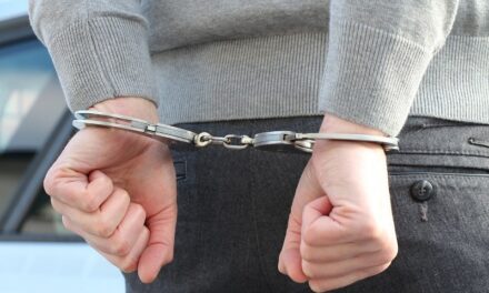 Uhapšena još jedna osoba povodom rušenja bine na manifestaciji „Banatska priča“