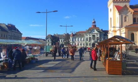 POZIV ZA UČESTVOVANJE NA NOVOGODIŠNJEM VAŠARU U ZRENJANINU