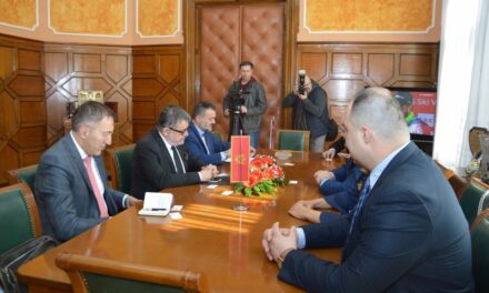 Ambasador Crne Gore u Srbiji posetio Zrenjanin