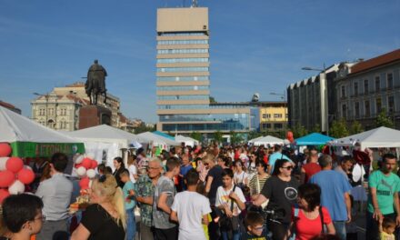 EVROPSKO SELO U CENTRU ZRENJANINA (FOTO)