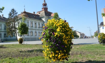 VREMENSKA PROGNOZA ZA NAREDNIH SEDAM DANA