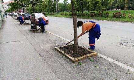Radnici JKP „Čistoća i zelenilo“ nastavljaju sa uređenjem grada