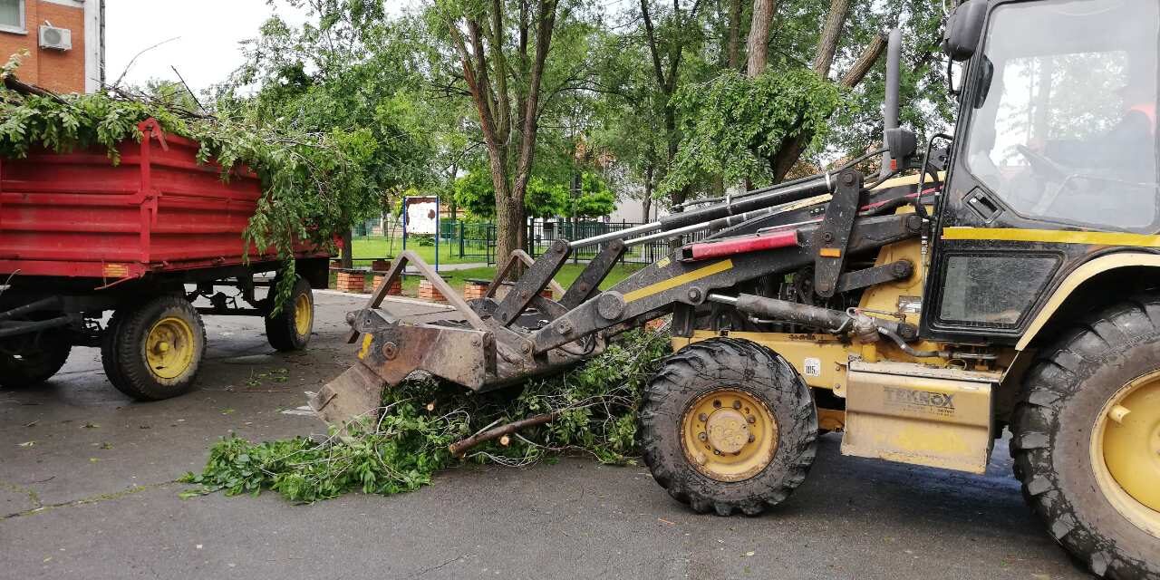 Ekipe JKP „Čistoća i zelenilo“  uklanjaju  grane polomljene tokom nevremena