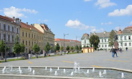 Deo Zrenjanina i tri naseljena mesta sutra bez struje