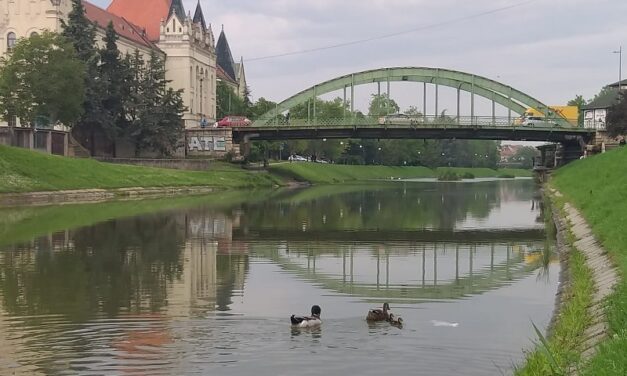 VREMENSKA PROGNOZA ZA NAREDNIH SEDAM DANA