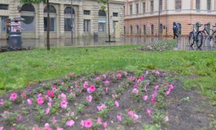 PROLEĆNA SADNJA CVEĆA U GRADSKIM LEJAMA