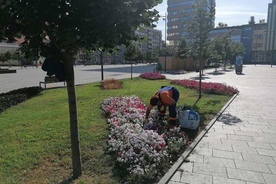 JKP „Čistoća i zelenilo“: uređeni parkovi, započeto hemijsko tretiranje zelenih površina