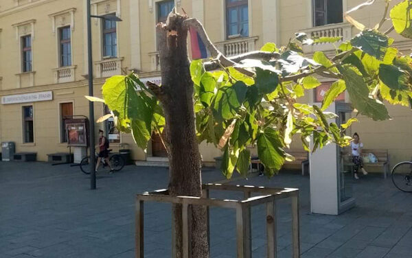 Odraz ne (odgovornosti) pojedinaca