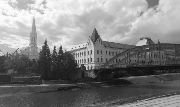 Zrenjanin je davne 1979. godine imao ogroman udeo u privredi SFRJ