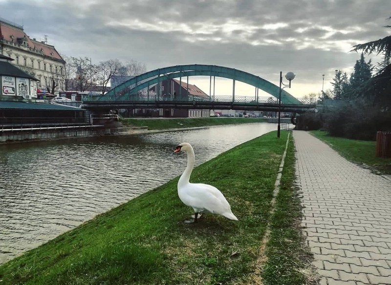 Vremenska prognoza za narednih 7 dana za Zrenjanin