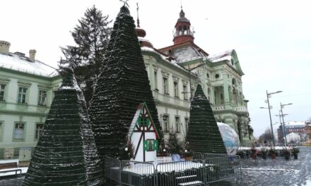 RADNO VREME MARKETA, USTANOVA I SLUŽBI TOKOM PRAZNIKA