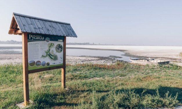 JEZERO RUSANDA NASTANJUJE OKO 220 VRSTA PTICA (FOTO)