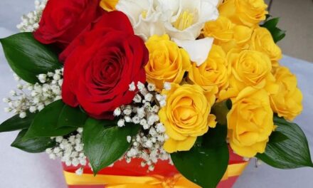Najlepša ponuda cveća za Dan zaljubljenih u cvećari Jasmin