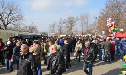 ORGANIZATORI OČEKUJU PREKO 10.000 POSETILACA NA 7. KOBASICIJADI