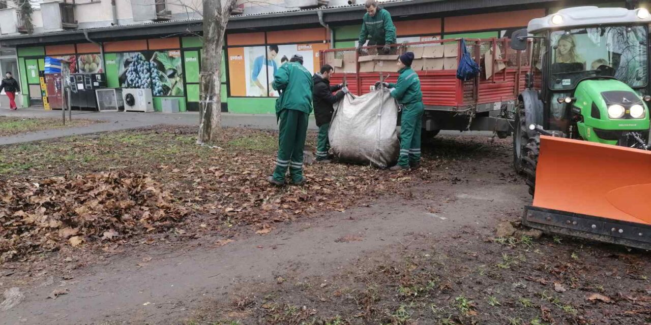 Radnici JKP ‚‚Čistoća i zelenilo‘‘ nastavljaju sa uređenjem grada