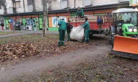 Radnici JKP ‚‚Čistoća i zelenilo‘‘ nastavljaju sa uređenjem grada