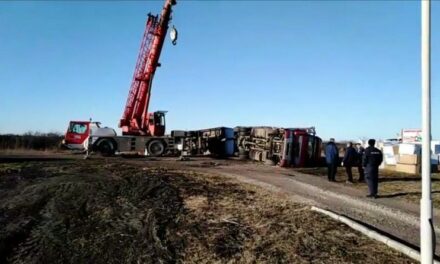 PREVRNUO SE KAMION NA PUTU ŽITIŠTE- BANATSKI DVOR (VIDEO)