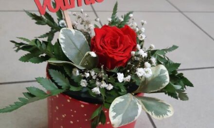 Najlepša ponuda cveća za Dan zaljubljenih
