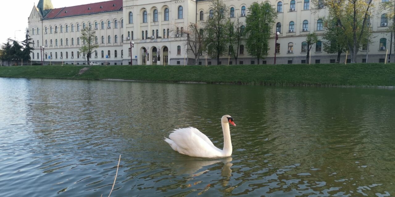 VREMENSKA PROGNOZA ZA NAREDNIH 7 DANA