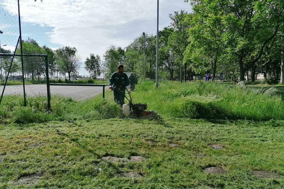 Odlična saradnja JKP „Čistoća i zelenilo“ i MZ Mužlja