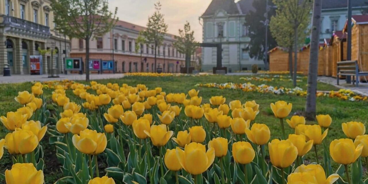 Pogledajte kakvo nas vreme očekuje u narednih 7 dana u Zrenjaninu