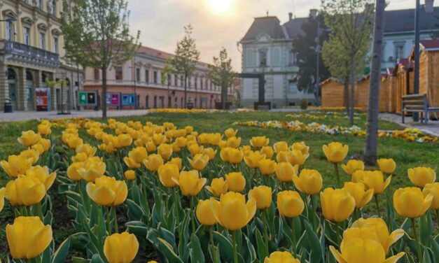 Pogledajte kakvo nas vreme očekuje u narednih 7 dana u Zrenjaninu