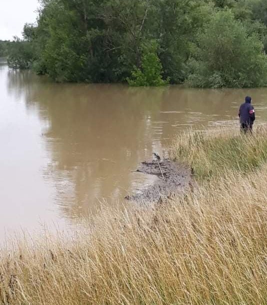 U vanrednoj odbrani 61 kilometar tamiških nasipa (VIDEO)