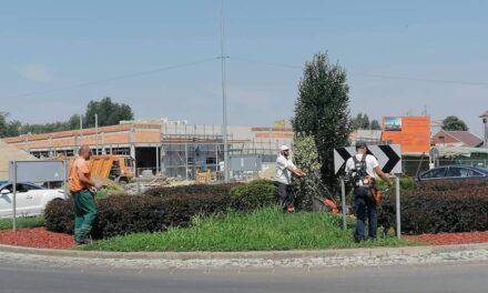 RADNICI JKP „ČISTOĆA I ZELENILO“ NASTAVLJAJU SA UREĐENJEM ZELENIH POVRŠINA U GRADU