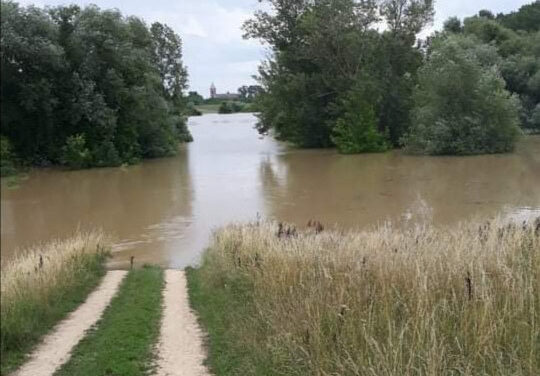 UVEDENA REDOVNA ODBRANA OD POPLAVA NA TAMIŠU