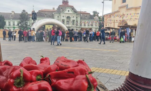 IZAĐI MI NA TEGLU- I ove godine biće održano takmičenje u kuvanju najboljeg ajvara u centru Zrenjanina