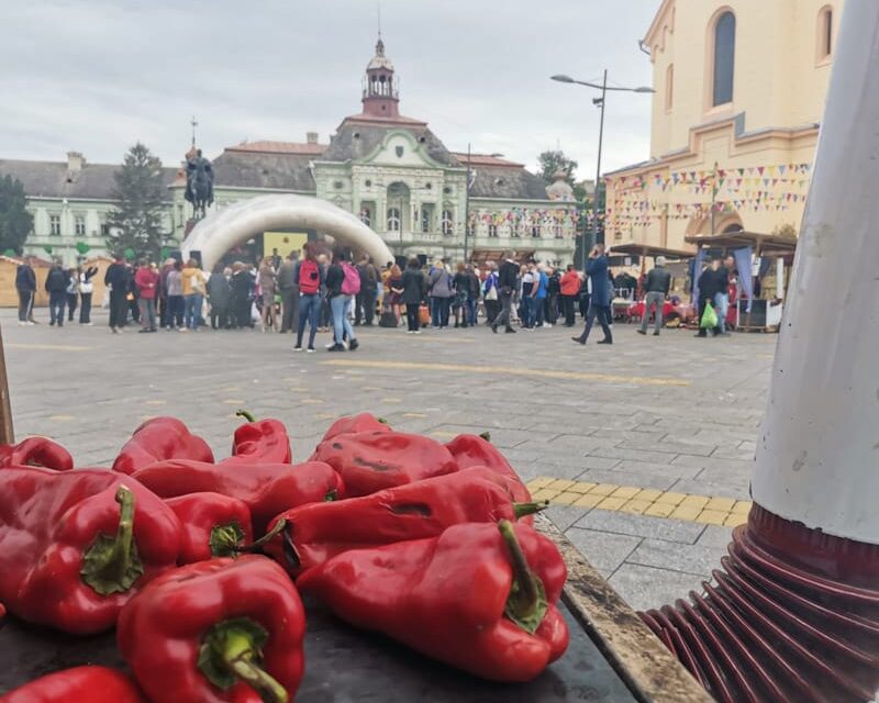 IZAĐI MI NA TEGLU- I ove godine biće održano takmičenje u kuvanju najboljeg ajvara u centru Zrenjanina