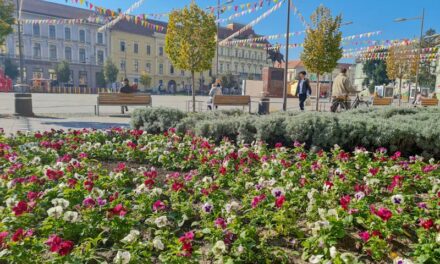 Radnici “ Čistoće“ aktivno rade na uređenju kompletnog grada