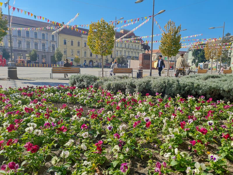 Radnici “ Čistoće“ aktivno rade na uređenju kompletnog grada