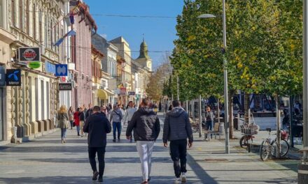 GRAD ZRENJANIN: ZABRANJENA ORGANIZOVANA PROSLAVA I DNEVNE ŽURKE