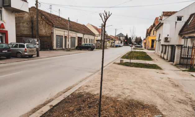 APEL GRAĐANIMA DA SAMI NE OREZUJU SADNICE NA JAVNIM POVRŠINAMA