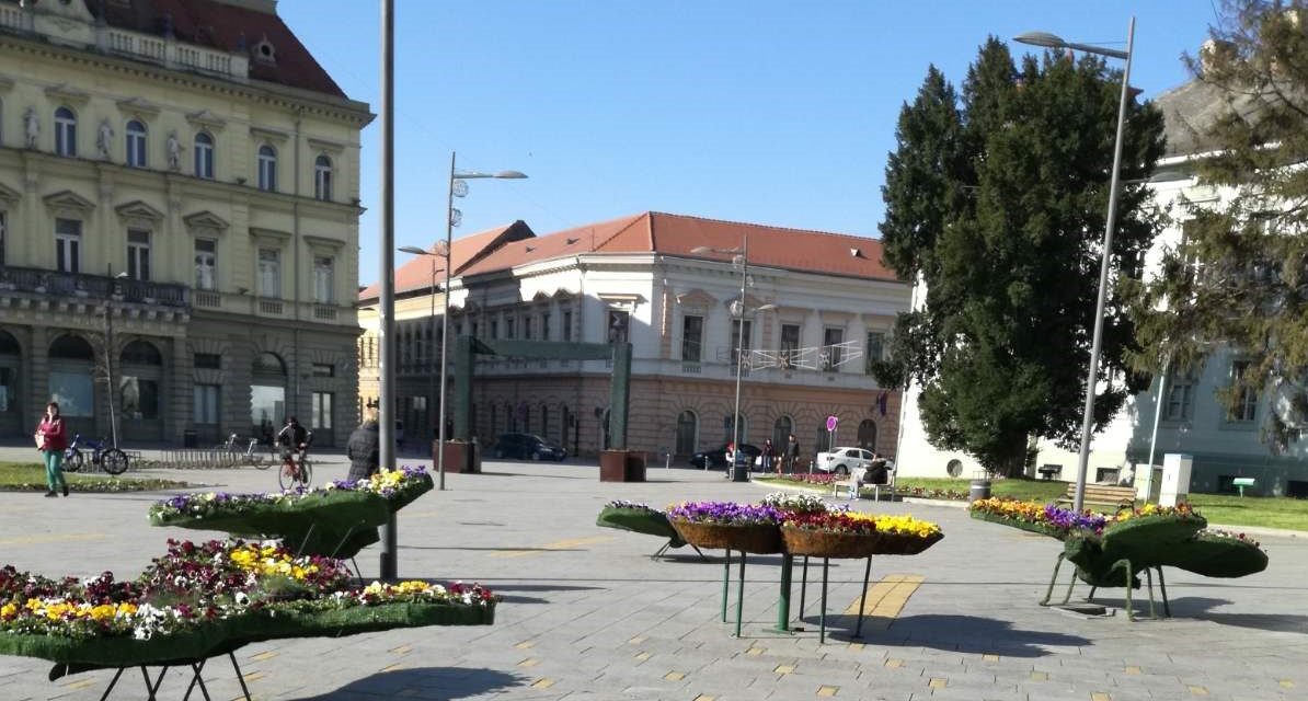 POSTAVLJENI CVETNI LEPTIRI U CENTRU GRADA