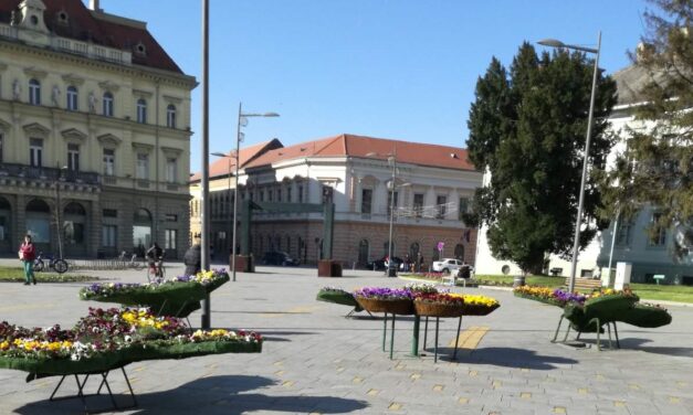 POSTAVLJENI CVETNI LEPTIRI U CENTRU GRADA