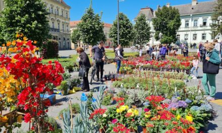 CVETNA PIJACA U CENTRU ZRENJANINA OD 18. DO 20. APRILA