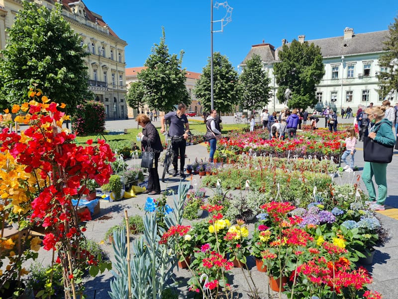 CVETNA PIJACA U CENTRU ZRENJANINA OD 18. DO 20. APRILA