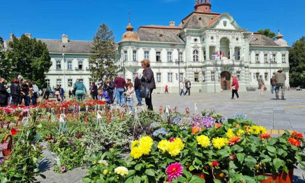 Pogledajte cvetnu ponudu na Trgu Slobode u Zrenjaninu (FOTO)