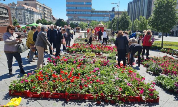 USKORO CVETNA PIJACA U ZRENJANINU