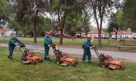 Košenje trave i uređivanje zelenih površina na više lokacija u gradu