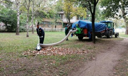 Radnici JKP Čistoća i zelenilo uveliko rade na sakupljanju lišća