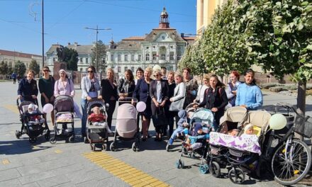 Šetnja mama sa bebama centrom Zrenjanina (FOTO)