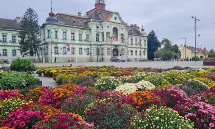 „CVETNA PIJACA“ OD SUTRA U CENTRU ZRENJANINA